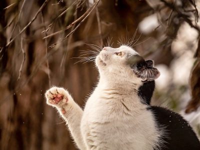 异地恋情侣各自在家打开一同看房间，弹幕上互发「好甜」「哭了」的实时评论，陪伴感十足